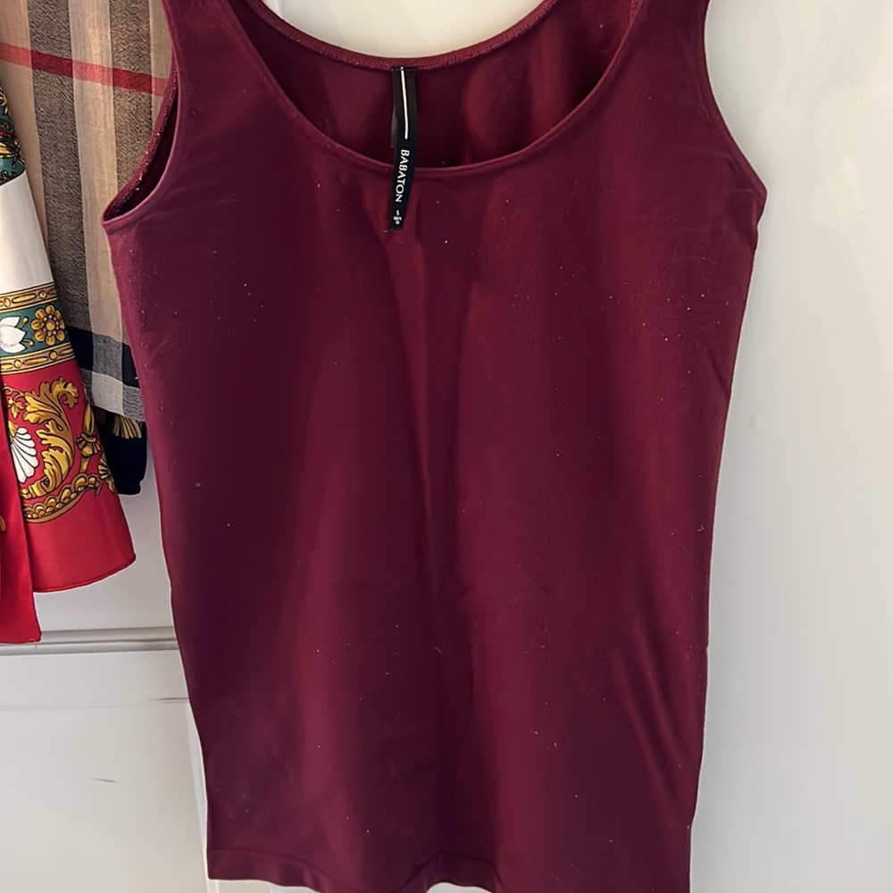 Aritzia Babaton Women's Top Tank Top - Picture 6 of 11